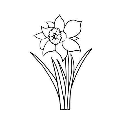 Draw A Daffodil
